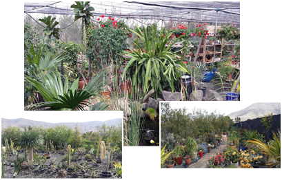 Our garden centre Happy Plants