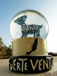 image006web