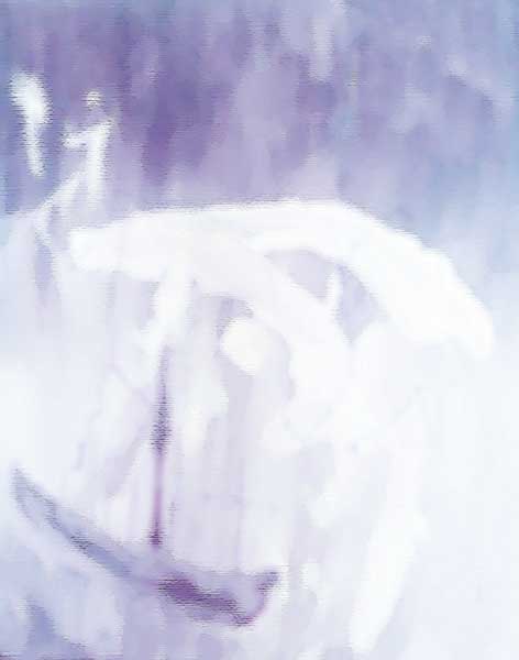 fondo.wix_mp