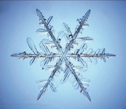 SnowFlake